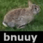 KMLbnuuy