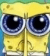 grrsponge