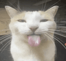 blem