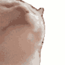 catjam2