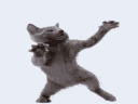 68747470733a2f2f6d656469612e7465