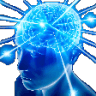 bigbrain