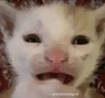 you