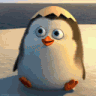 m_penguinwave