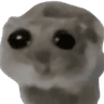 11948sadhamster