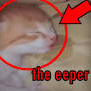 eeper
