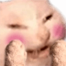 cat_Blushy_Hehe