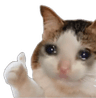 Sad_Cat_Thumbs_Up
