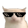 Cool_bruh_cat