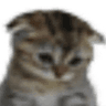 emoji_61
