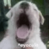 emoji_72