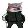 slav