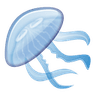 Jellyfish_