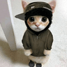 yeatcat