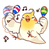 RiffBirdplaying