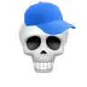 Skull_Cap