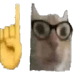 cat_nerd