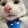 cumshot