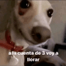 emoji_325