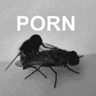 pornsex