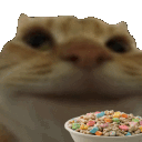 1catPopcorn