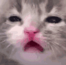 emoji_44
