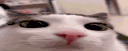 emoji_94
