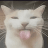 emoji_95