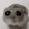 emoji_7