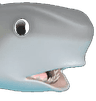 4337_shark_pog