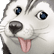 Belp