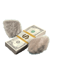moneywingcash