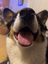 HappyPEB
