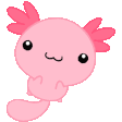 2737dealwithitaxolotl