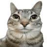 emoji_60