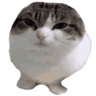 emoji_81