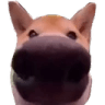 SNIFFA