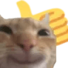 d_catThumbsUp
