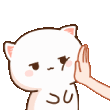 peachcat42