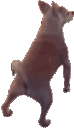 Hump