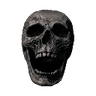 skull
