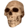 36043skull