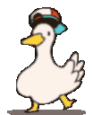 RiffGoose