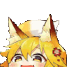 senkowag