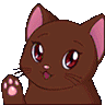 cat_wave_brown