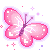 005butterfly