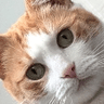 emoji_124