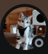Discord_xvx8w2XlXB