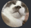 Screenshot20240910061000