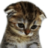 emoji_145